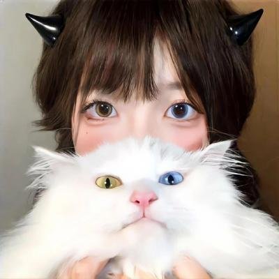 不死者之王 剧场版 圣王国篇